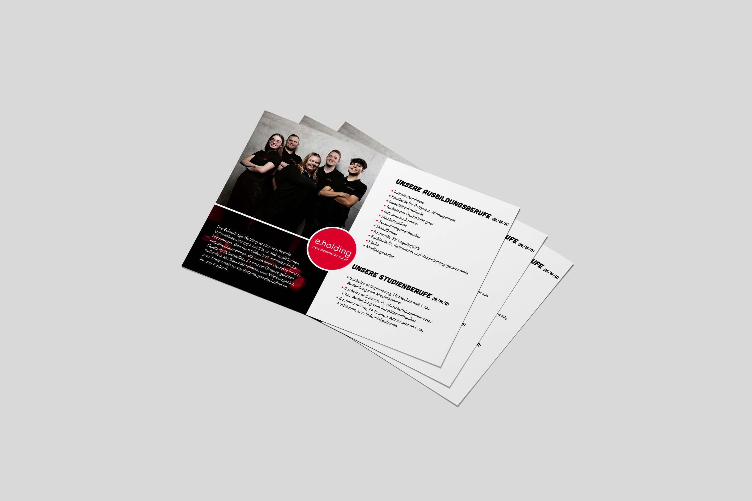 Ausbildungsangebot Flyer e.holding
